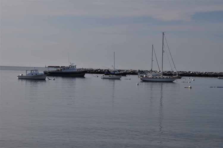 harbor